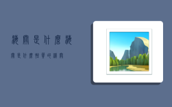 海关是什么,海关是什么性质的机关