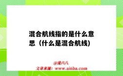 混合航线指的是什么意思（什么是混合航线)