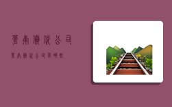 苍南货代公司,苍南货代公司有哪些