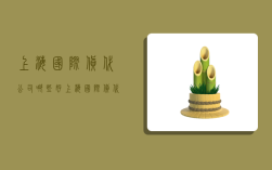 上海国际货代公司哪些好,上海国际货代公司哪些好一点