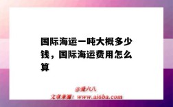 国际海运一吨大概多少钱，国际海运费用怎么算（国际海运一般多少钱一吨）