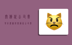 开货代公司需要什么条件,开货代公司需要什么条件才能开