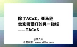除了ACoS，亚马逊卖家需紧盯的另一指标——TACoS（亚马逊ACOS的合理范围）