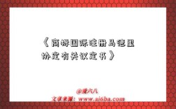 《商标国际注册马德里协定有关议定书》