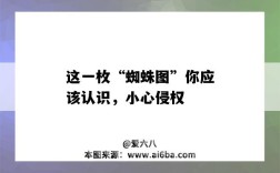 这一枚“蜘蛛图”你应该认识，小心侵权（被蜘蛛图片）