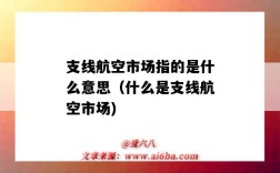 支线航空市场指的是什么意思（什么是支线航空市场)