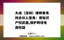 大成（深圳）律师事务所合伙人张勇：用知识产权武器,保护跨境电商权益