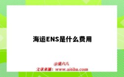 海运ENS是什么费用（海运中ens是什么费用）