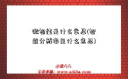 微智能是什么意思(智能分辨率是什么意思)