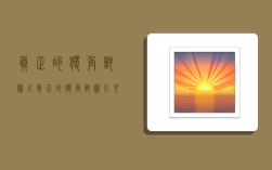 真正的独角兽图片,真正的独角兽图片可爱