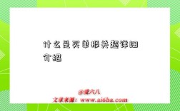 什么是买单报关超详细介绍