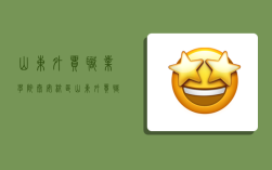 山东外贸职业学院泰安校区,山东外贸职业学院泰安校区怎么样