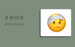 法国ddp,法国DDP是什么意思