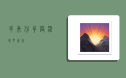 辛东彬,辛格浩和辛东彬