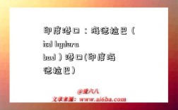 印度港口：海德拉巴（icd hyderabad）港口(印度海德拉巴)