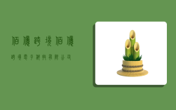 佰亿跨境,佰亿跨境电子科技有限公司