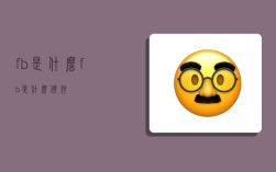 fb是什么,fb是什么软件