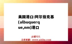 美国港口:阿尔伯克基(albuquerque,nm)港口（阿尔伯特港口）