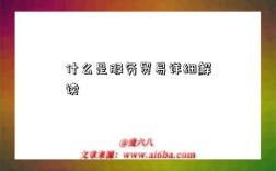 什么是服务贸易详细解读