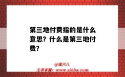 第三地付费指的是什么意思？什么是第三地付费？