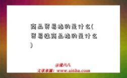 商品贸易指的是什么(贸易性商品指的是什么)