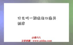 什么叫一般进出口通关制度