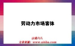 劳动力市场客体