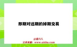 即期对远期的掉期交易