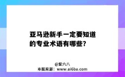 亚马逊新手一定要知道的专业术语有哪些？（亚马逊新手一定要知道的专业术语有哪些）
