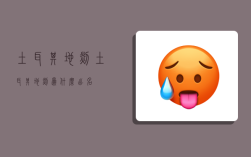 土耳其地毯,土耳其地毯为什么出名