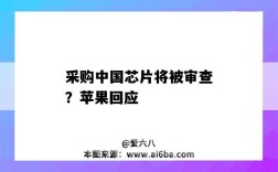 采购中国芯片将被审查？苹果回应