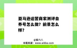 亚马逊运营商家测评自养号怎么做？前景怎么样？（亚马逊自养号测评流程）
