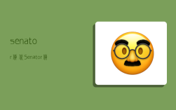 senator货代,Senator货代主要业务