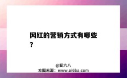 网红的营销方式有哪些？（网红的营销方式有哪些）