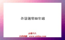 开票超详细介绍