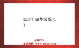 SSN(十四年猎诡人)