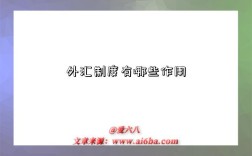 外汇制度有哪些作用