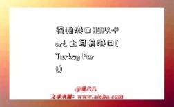 霍帕港口HOPA-Port,土耳其港口(Turkey Port)