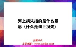 海上损失指的是什么意思（什么是海上损失)