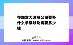 在加拿大注册公司要办什么手续以及需要多少钱（在加拿大注册公司需要什么手续和条件）