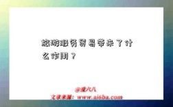 旅游服务贸易带来了什么作用？