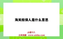 海关担保人是什么意思（海关总担保是什么意思）