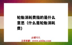 轮胎消耗费指的是什么意思（什么是轮胎消耗费)