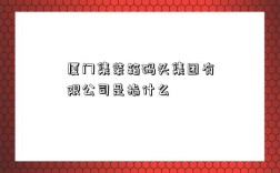 厦门集装箱码头集团有限公司是指什么