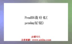 ProdSG是什么(prodsg认证)