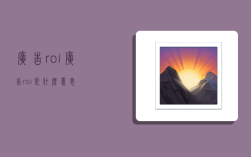 广告roi,广告roi是什么意思