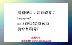 美国港口：不伦瑞克（brunswick,ga）港口(美国港口为什么拥堵)