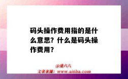 码头操作费用指的是什么意思？什么是码头操作费用？