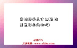商检报关是什么(商检是在报关前做吗)