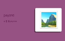 payoneer登录,payoneer登录官网